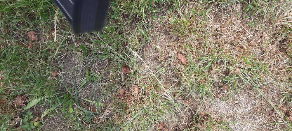 Giftköder-Verdacht auf Giftköder-Profilbild