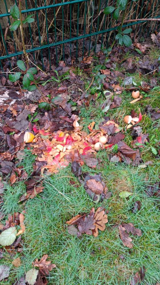 Giftköder-Biomüll/ Essensreste-Profilbild