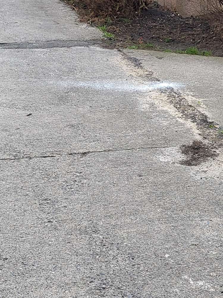 Giftköder-Weises pulver-Profilbild