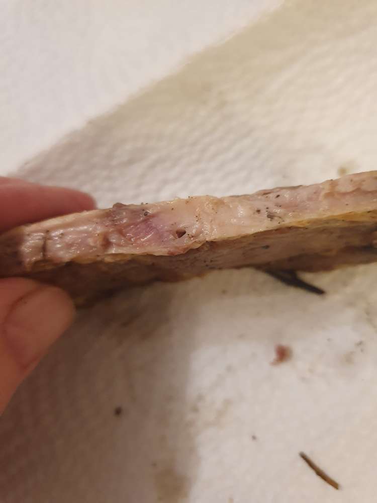 Giftköder-Fleischstücke-Profilbild