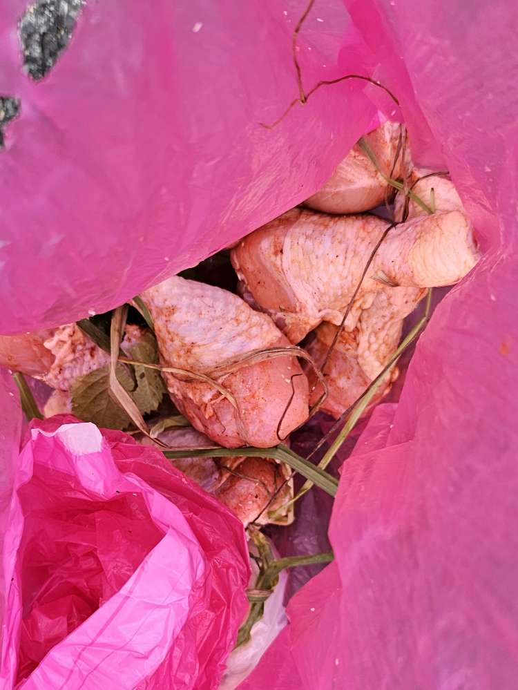 Giftköder-Hähnchenteile! Evtl. GIFT?!-Profilbild