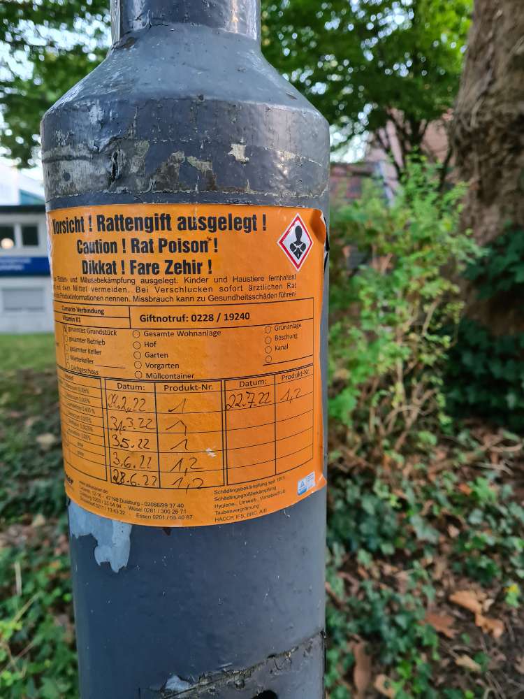 Giftköder-RATTENGIFT an der Uni! Update!-Profilbild