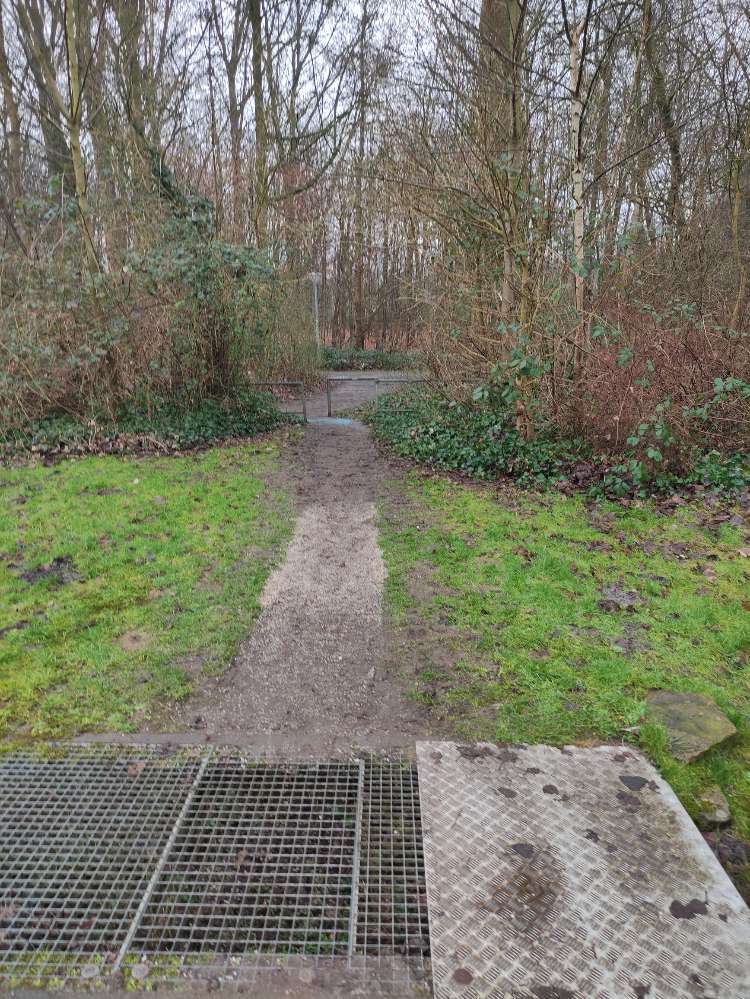 Giftköder-Blaukorn / kleine Scherben-Profilbild