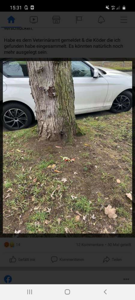 Giftköder-Angelhaken ausgelegt-Profilbild