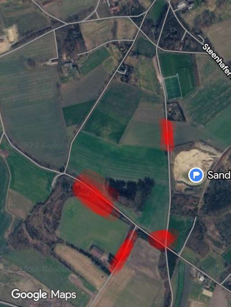 Giftköder-Achtung Eichen-Prozessionsspinner-Profilbild