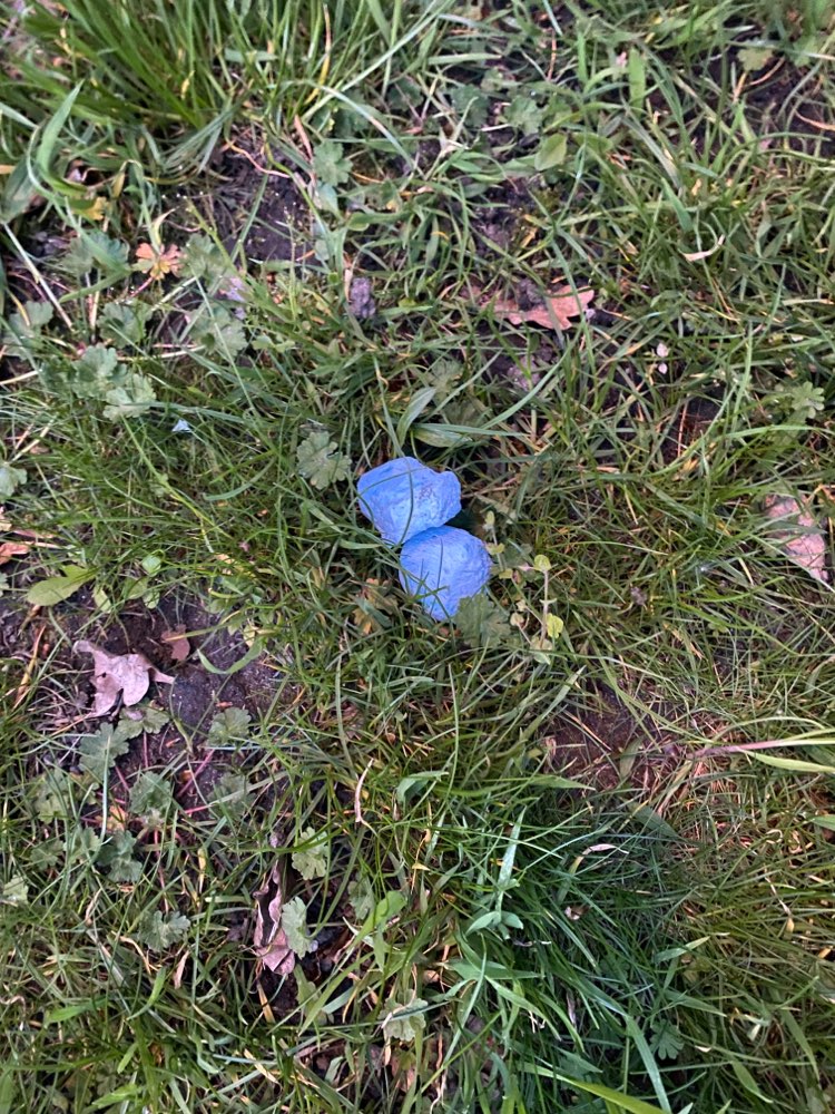 Giftköder-Giftköder Mickten bei der Feuerwehr-Profilbild