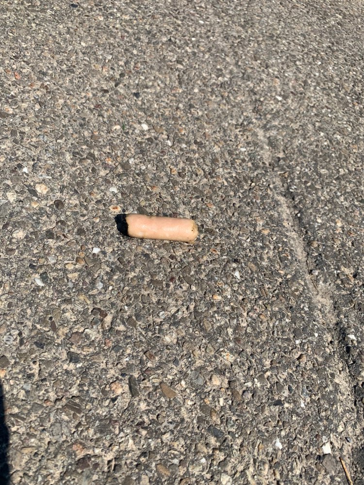 Giftköder-Würstchen Stücke auf dem Fußweg u. Feld-Profilbild