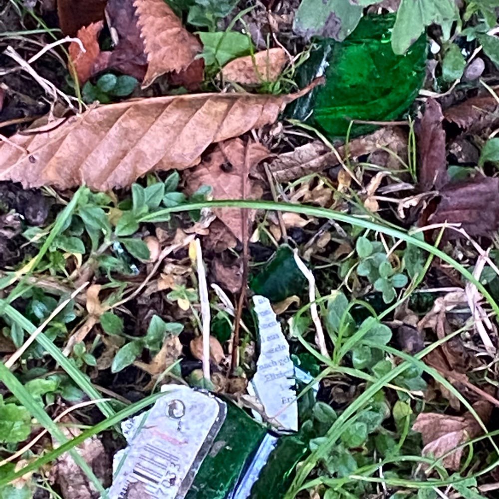 Giftköder-Achtung Glasscherben-Profilbild