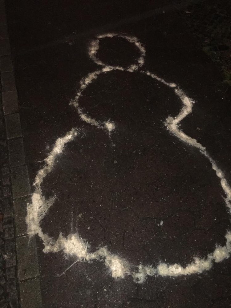 Giftköder-Seltsam verstreutes weißes Pulver!-Profilbild