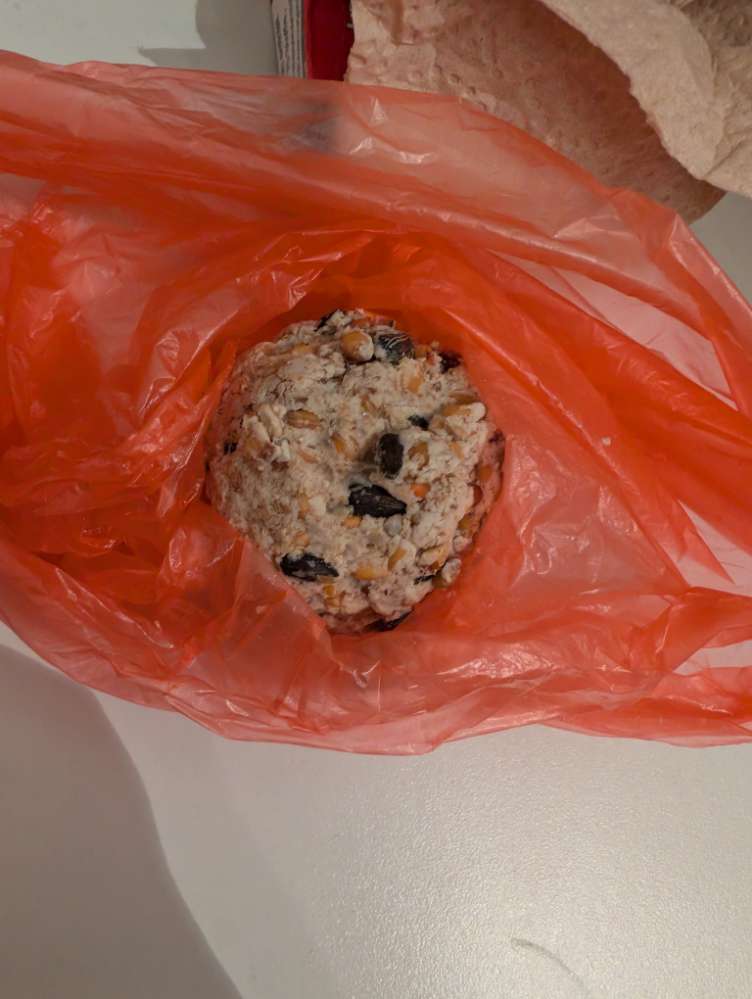 Giftköder-Verdacht auf Giftköder-Profilbild