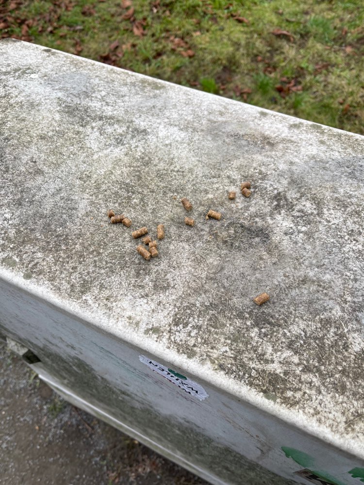 Giftköder-Ausgelegtes Futter-Profilbild