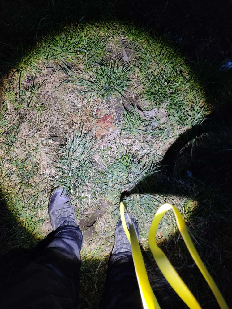 Giftköder-Möglicher Giftköder-Profilbild