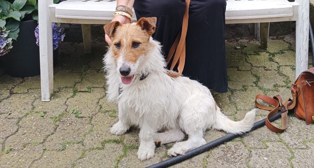 Suchmeldung-Fred-Profilbild