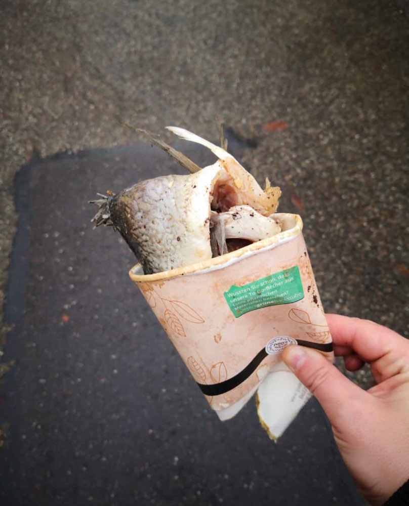 Giftköder-Fisch mit Nägel-Profilbild