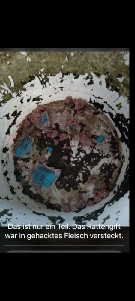 Giftköder-Rattengift über den Zaun geworfen!-Profilbild
