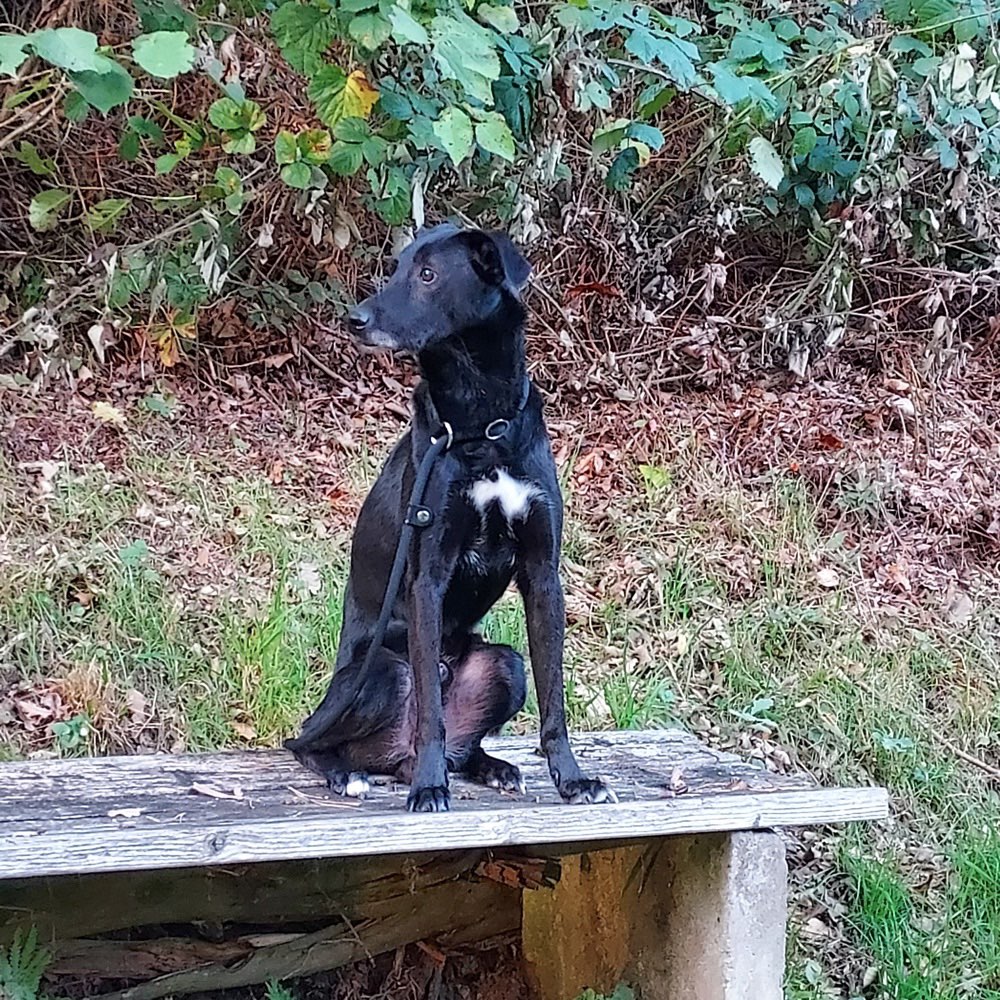 Suchmeldung-Leon-Profilbild