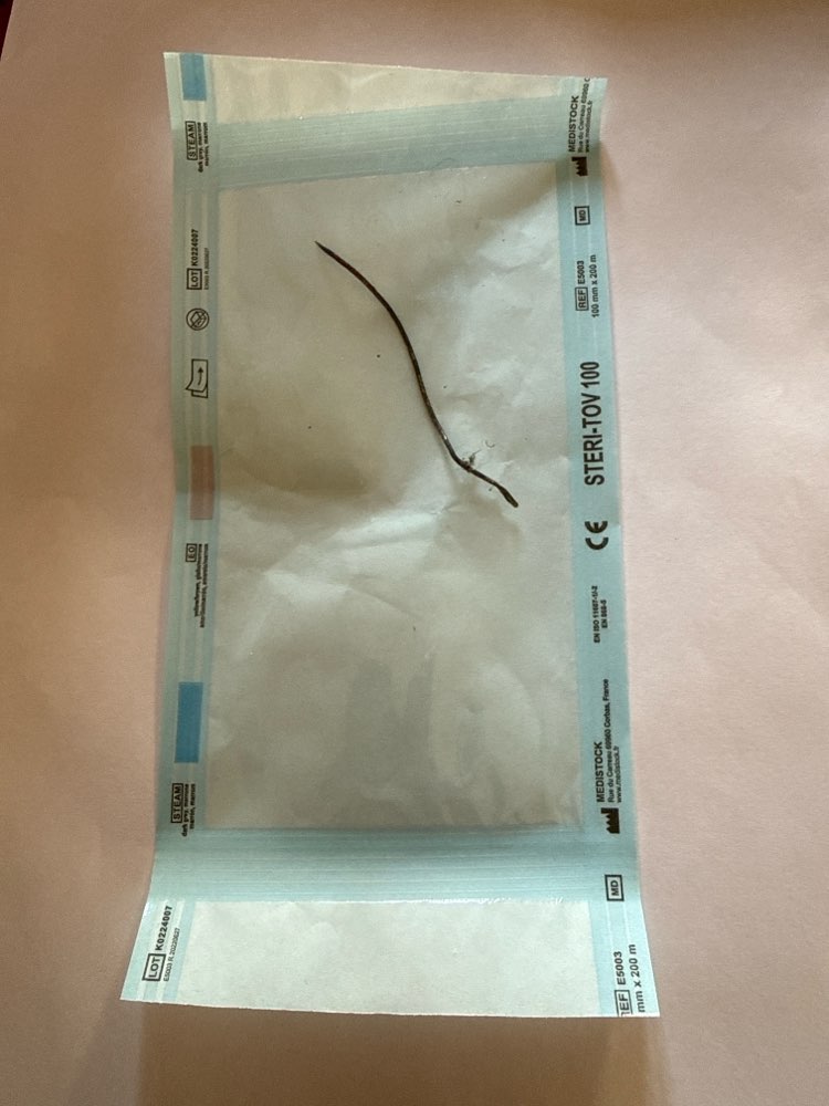 Giftköder-Nadeln in Köder-Profilbild