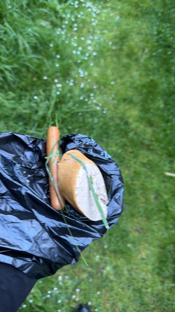 Giftköder-Evt. Giftköder-Profilbild