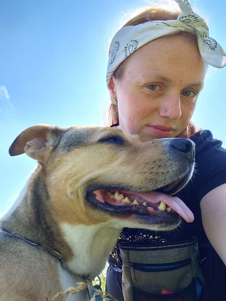 Hundetreffen-Gemeinsames Gassi ob Problemhund oder vorzeige Hund-Profilbild