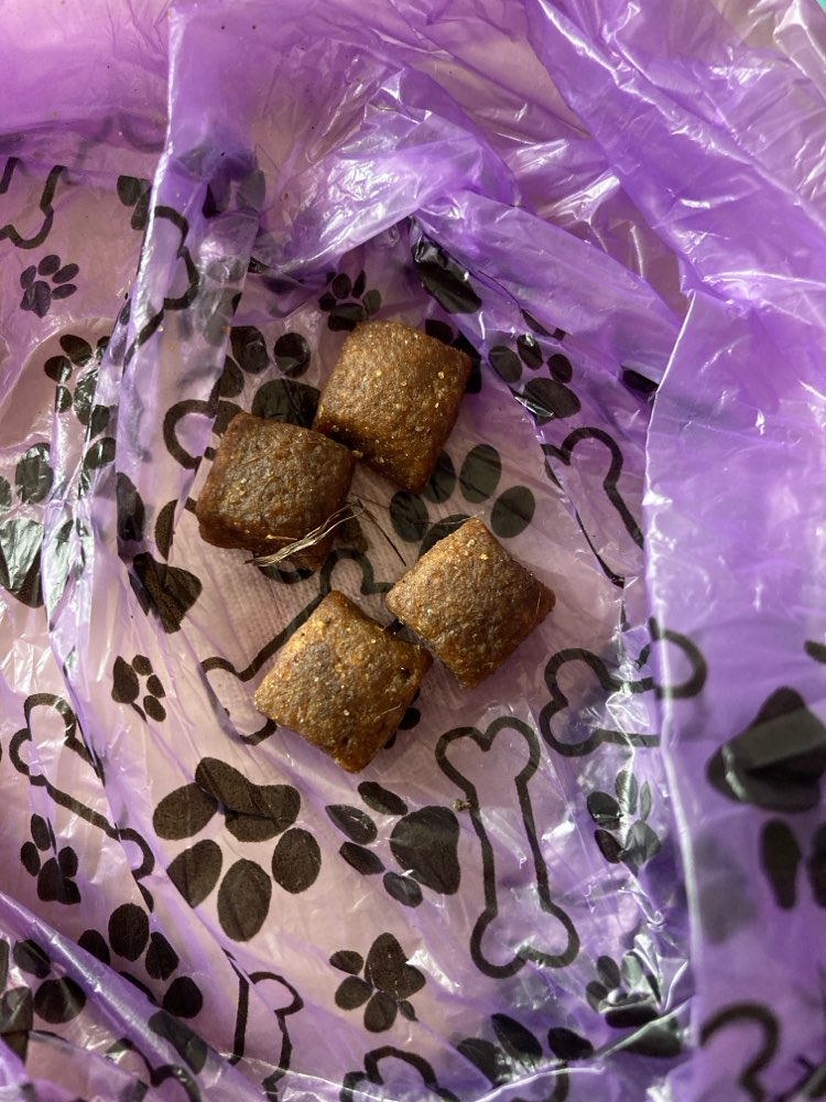 Giftköder-Versteckte Braune Würfel/ Leckerli(?)-Profilbild