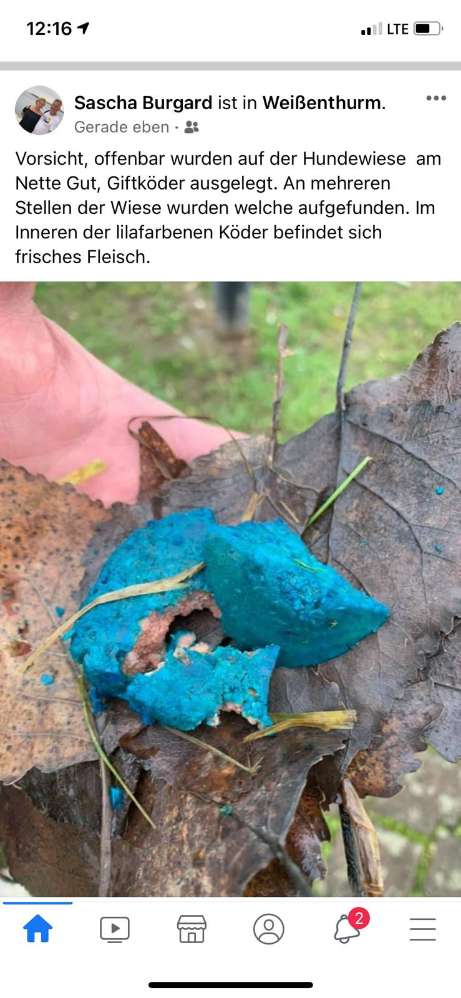 Giftköder-Giftköder auf der Wiese an der Nette-Profilbild