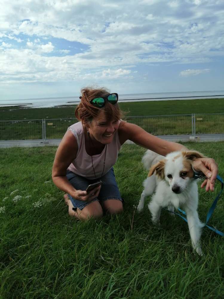 Hundetreffen-Unterstützung-Profilbild