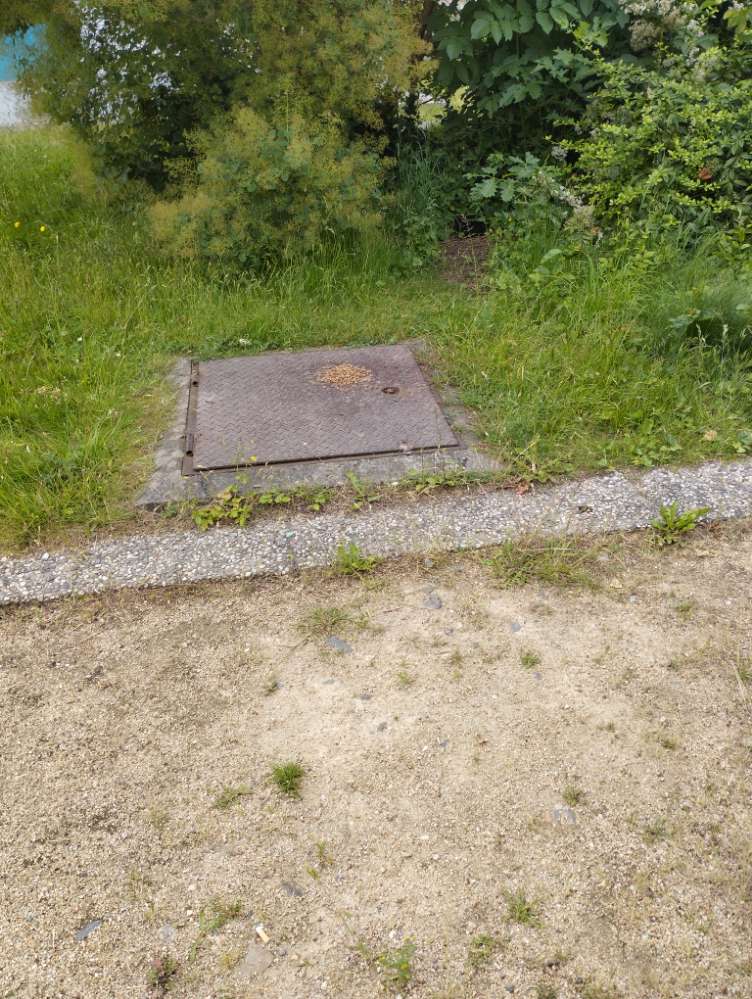 Giftköder-Ausgelegtes Futter-Profilbild