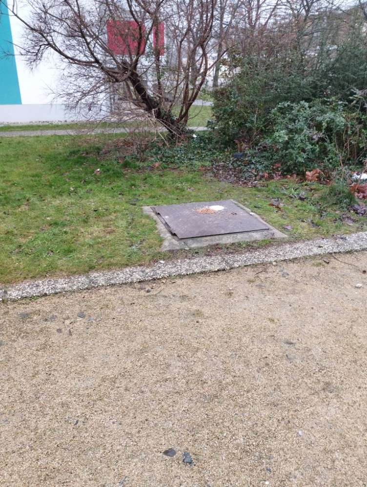 Giftköder-Ausgelegtes Futter-Profilbild