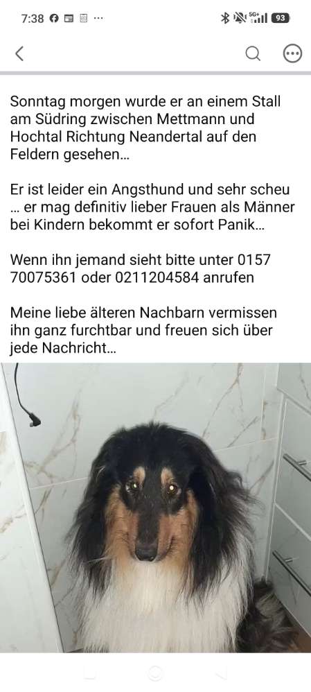 Suchmeldung-Hero-Profilbild
