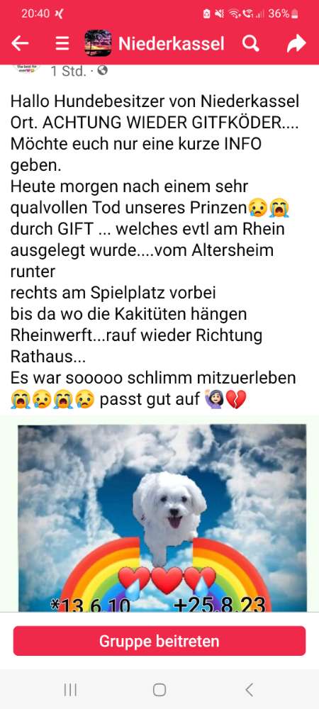 Giftköder-Giftköder-Profilbild