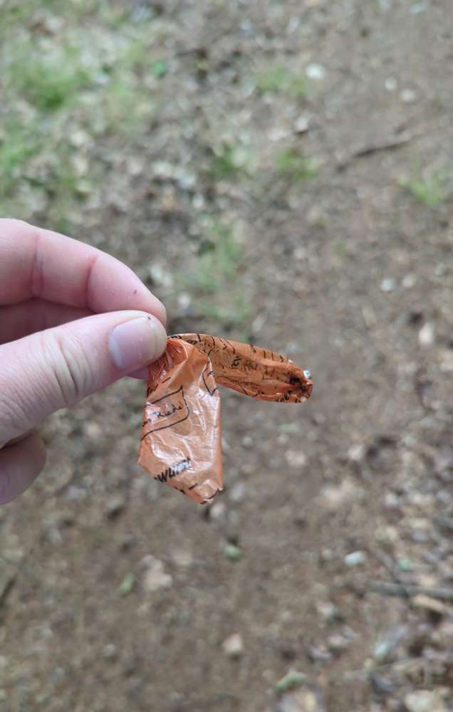 Giftköder-Leberwurst-Profilbild