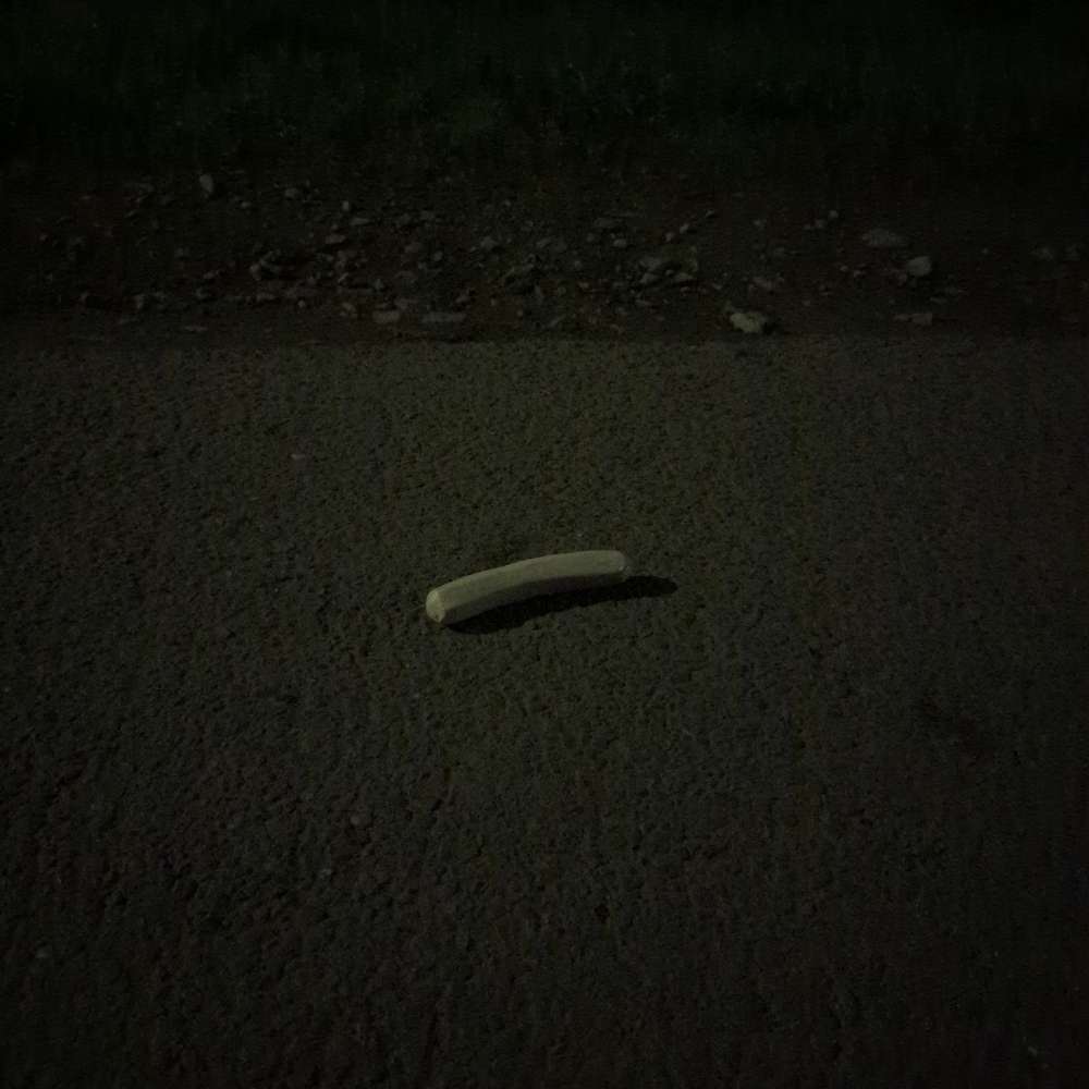 Giftköder-Würste die ganze Strasse entlang-Profilbild