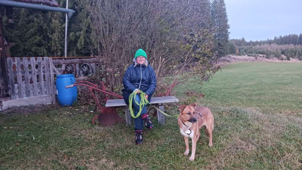 Hundetreffen-Spazierfreunde gesucht-Profilbild