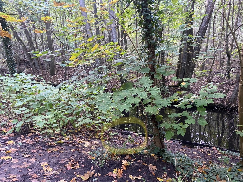 Giftköder-Totes Wildtier am Wasser-Profilbild