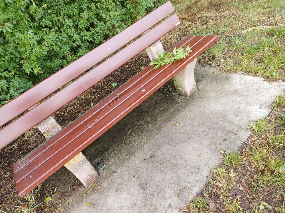 Giftköder-Glasscherben-Profilbild