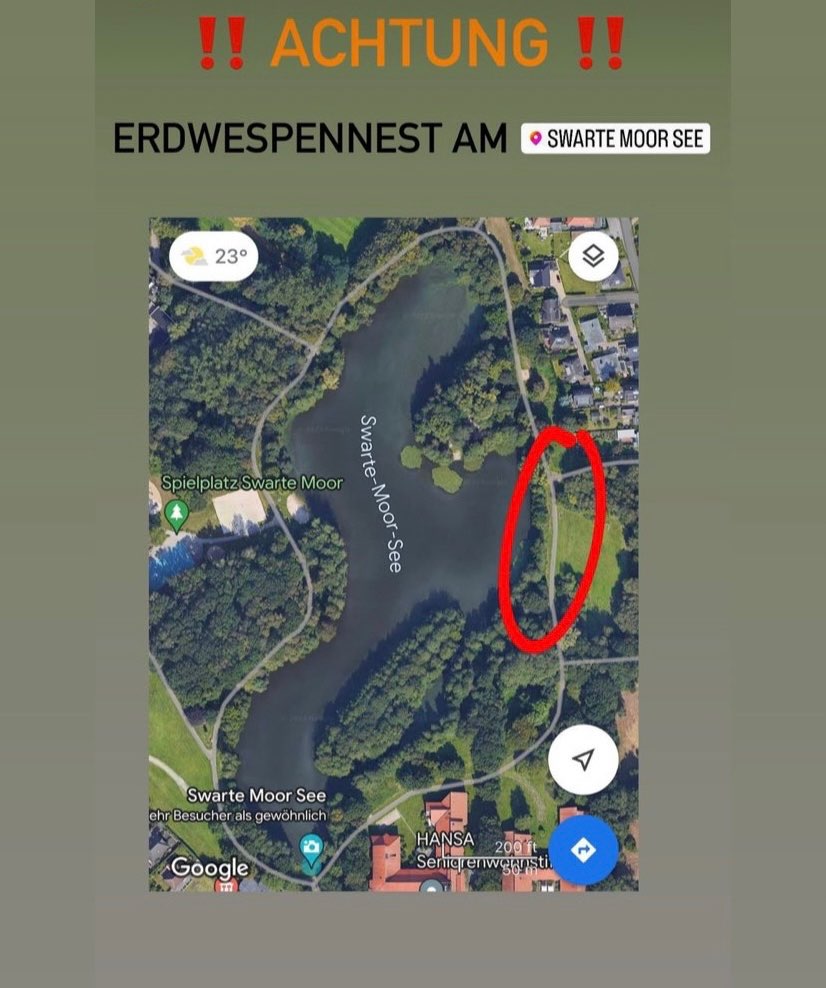 Giftköder-Erdwespen Nest am Swarte Moor See!-Profilbild
