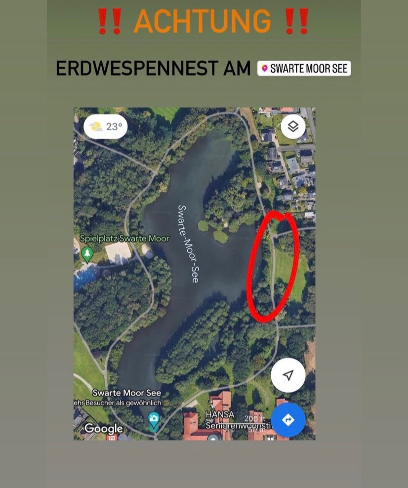 Giftköder-Erdwespen Nest am Swarte Moor See!-Profilbild
