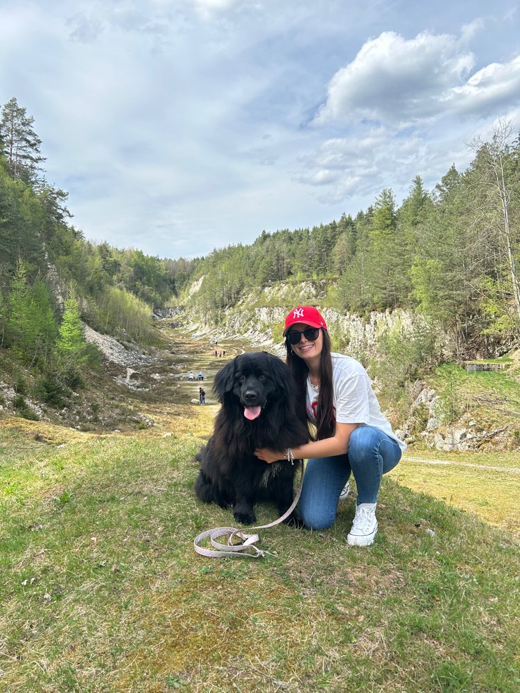 Hundetreffen-Social Walk-Profilbild