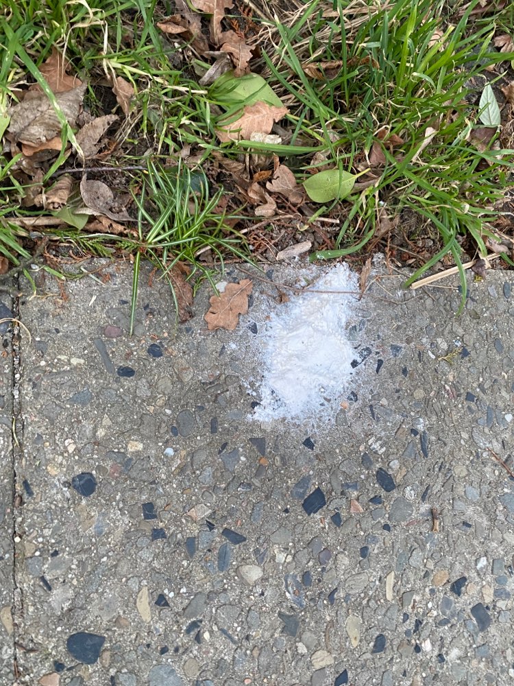 Giftköder-Weisses Pulver-Profilbild