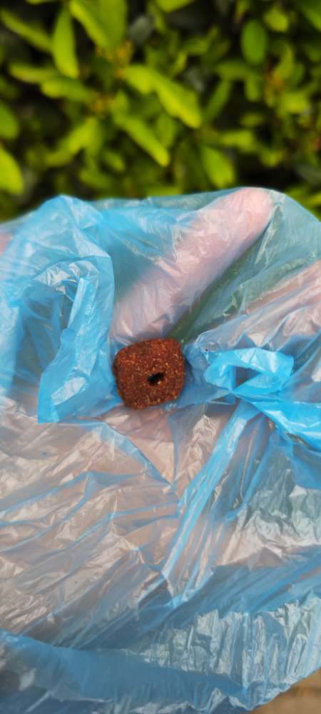 Giftköder-Giftköder-Profilbild