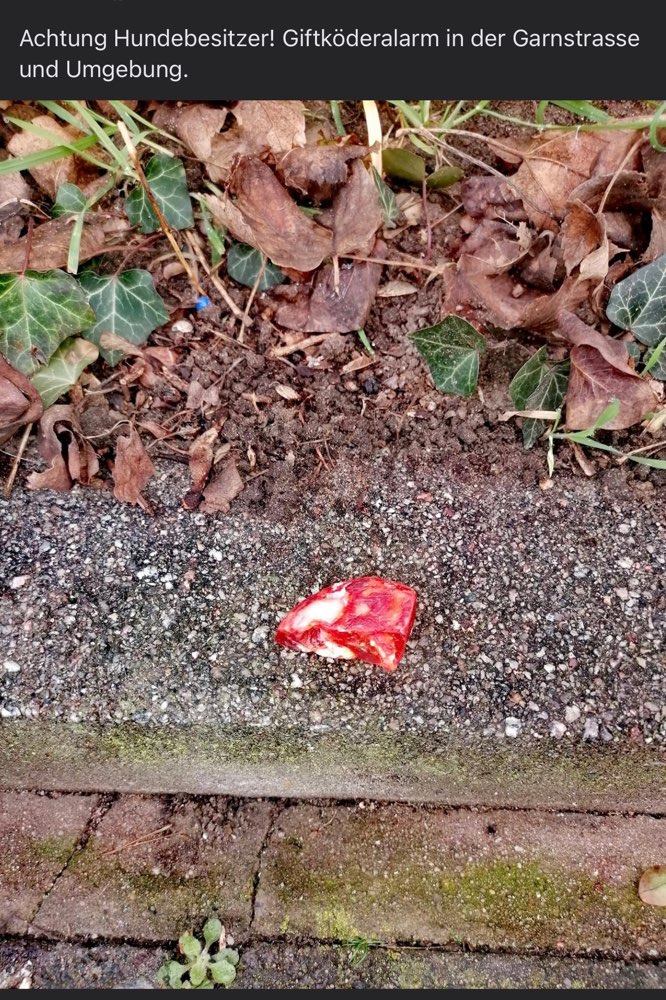 Giftköder-Giftköder-Profilbild