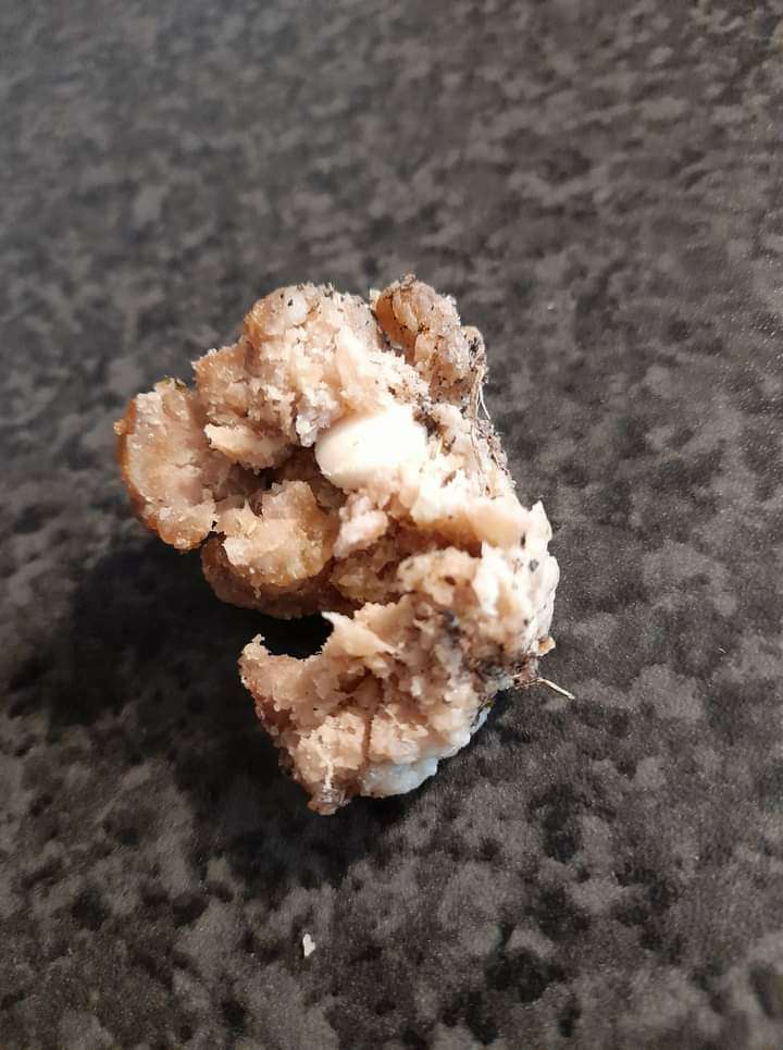 Giftköder-Frikadelle mit Tablette-Profilbild