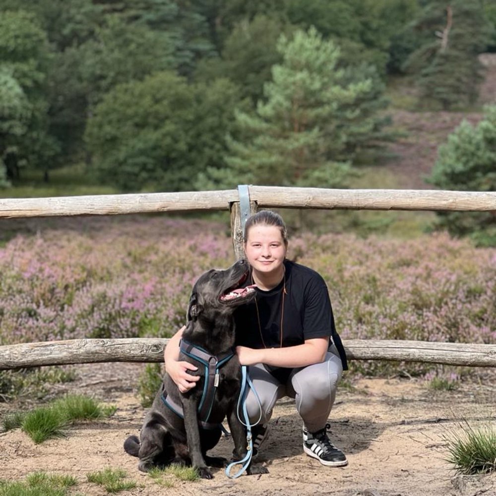 Hundetreffen-Regelmäßige Gassirunden Di u./o. So-Profilbild