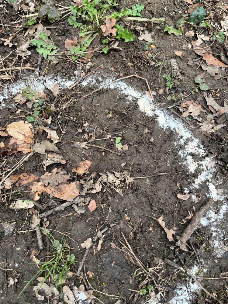 Giftköder-Weißes Pulver Robinienweg-Profilbild