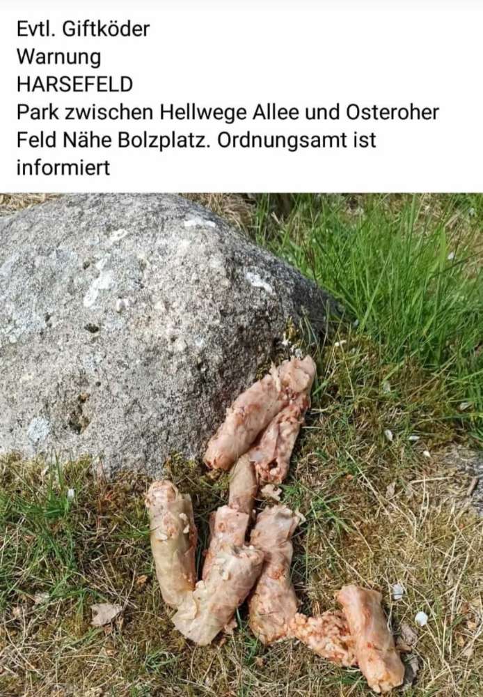 Giftköder-Giftköder-Profilbild