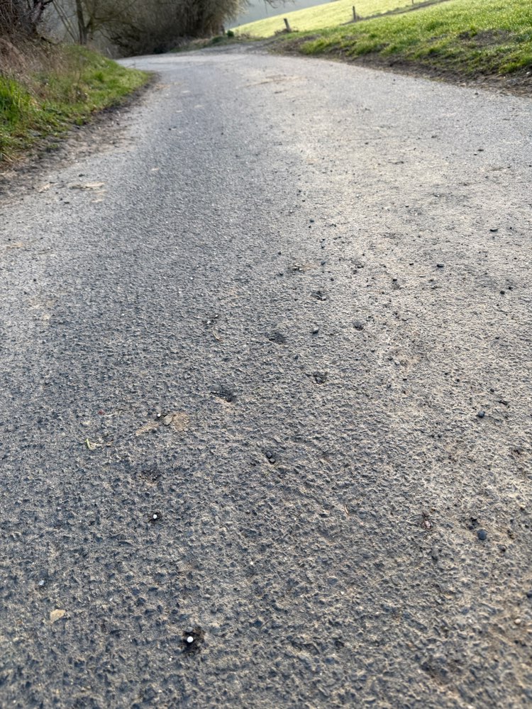 Giftköder-Unbekannte Kügelchen auf dem Boden-Profilbild