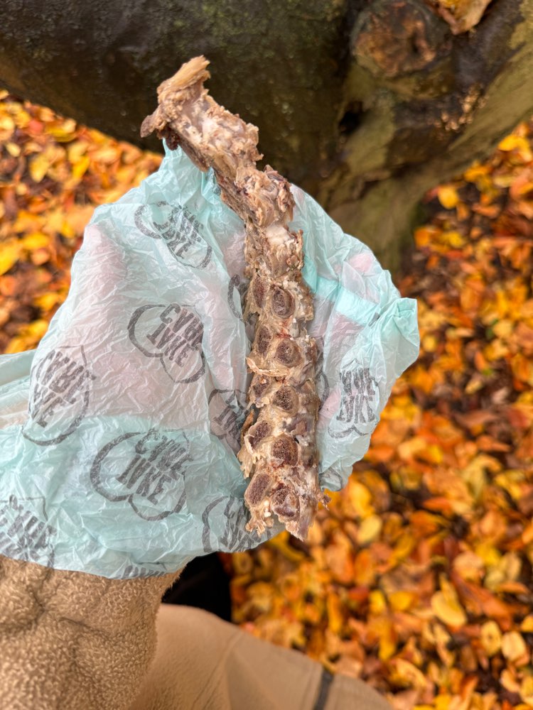 Giftköder-Knochenreste-Profilbild