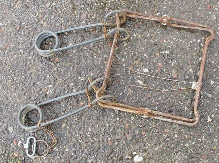 Giftköder-Biberfallen wurden ausgelegt...-Profilbild