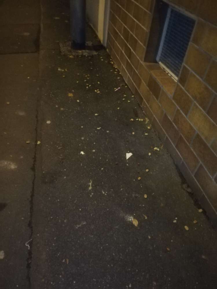 Giftköder-Verstreutes Hundefutter/Leckerlies-Profilbild