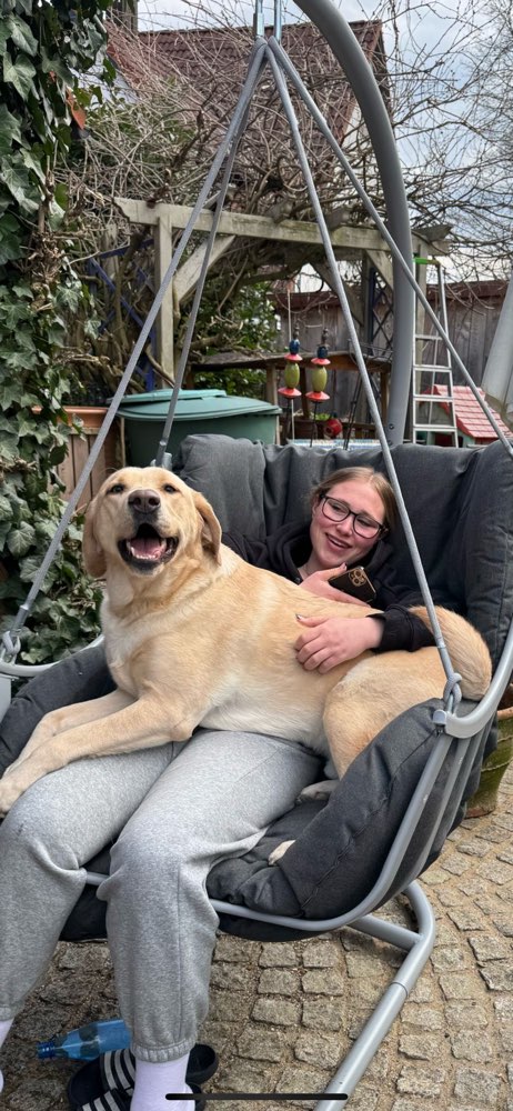 Hundetreffen-gassirunde/spielen-Profilbild